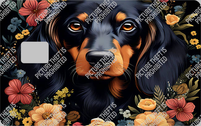 Bank  Card Sticker-BC-2318